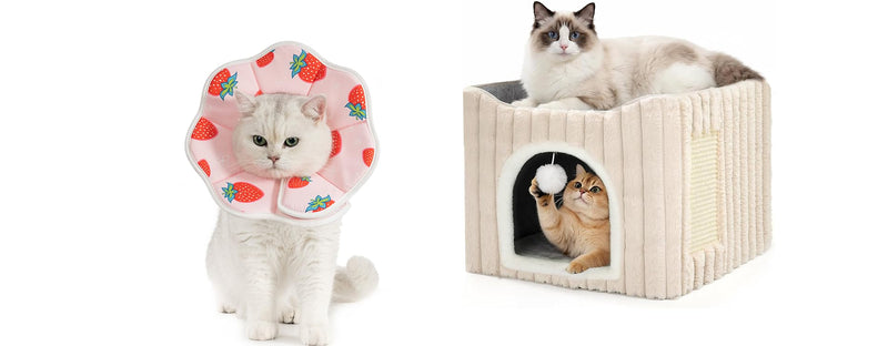 Avont Soft Cat Recovery Cone Collar Bundle with 3-in-1 Cat House