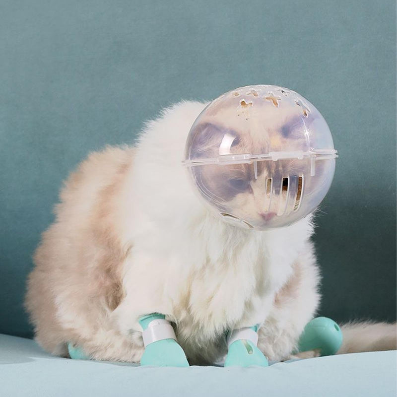 Transparent cat muzzle, adjustable bite protection, kitten astronaut helmet, chew guard | Small animal shaving system, safety device for grooming, for prevention, grooming aid