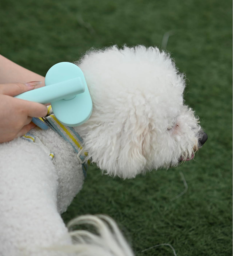 Self cleaning hair removal brush - a skin friendly beauty tool suitable for dogs, cats, and puppies, with a round head design that prevents scratches and is green in color - PawsPlanet Australia