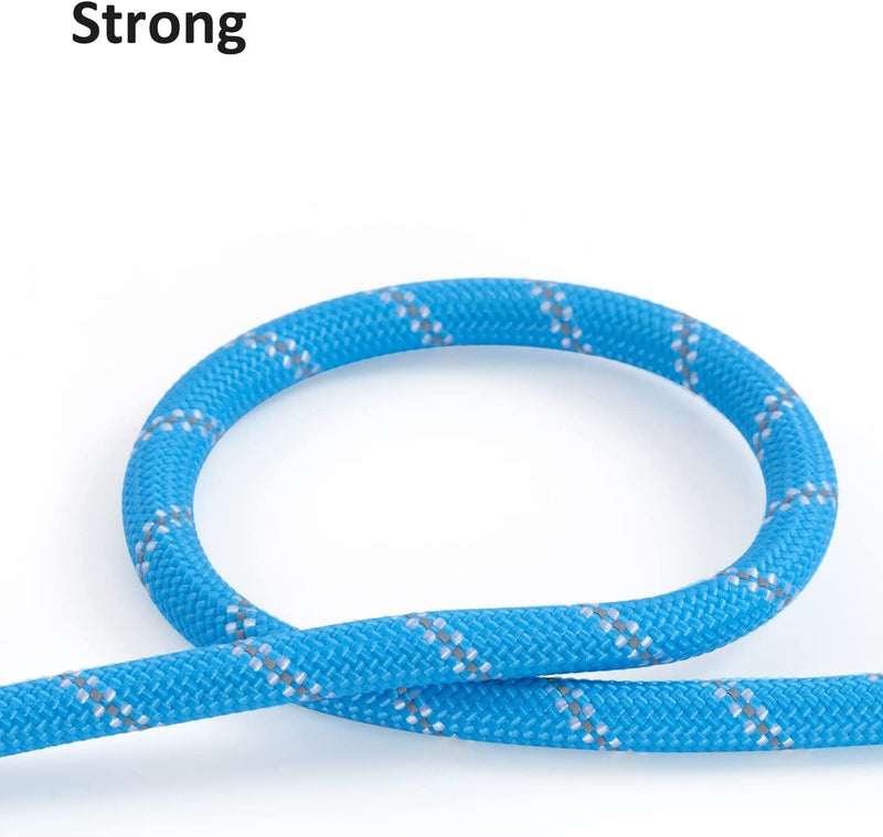 2 Pack Orange&Blue 20FT Long Dog Leashes,Dog Training Lead for Large Medium Small Dogs Outside Walking, Playing, Camping, or Yard 20FT* 3/8 inch 2Pack Orange&Blue - PawsPlanet Australia