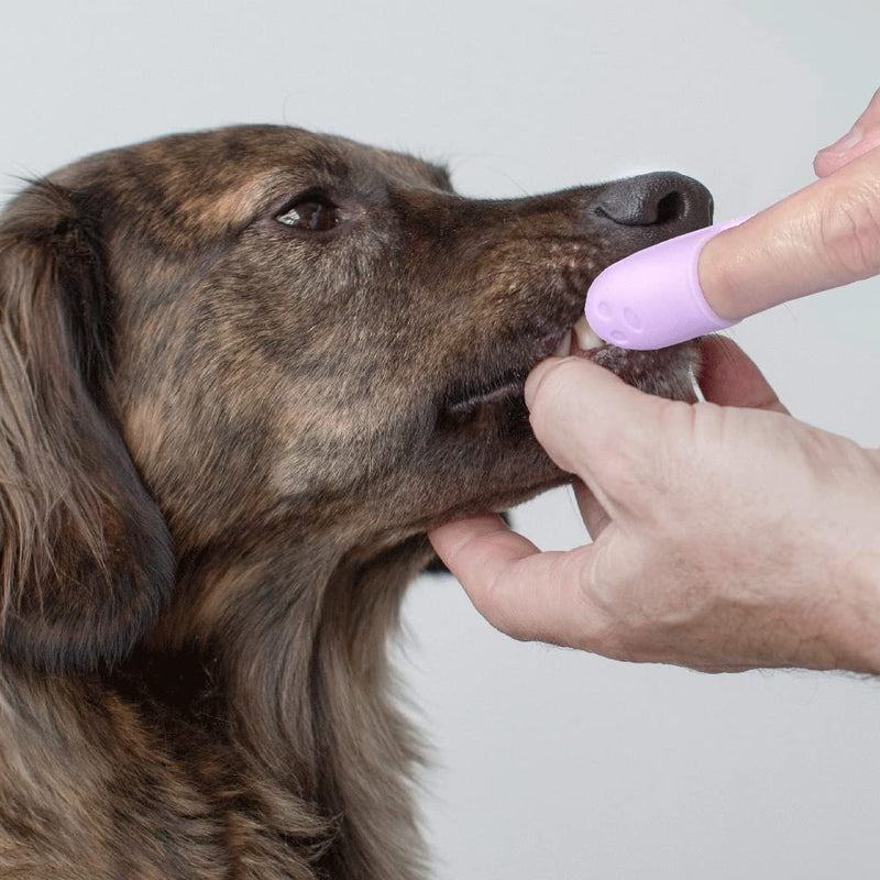 Silicone Dog Toothbrush, Ergonomic Dog Tooth Brush with Improved Design, Cat Finger Toothbrush for Pet Dental Care, Finger Brushes Suitable for Small Breeds, Puppies and Cats (Pack of 3) - PawsPlanet Australia