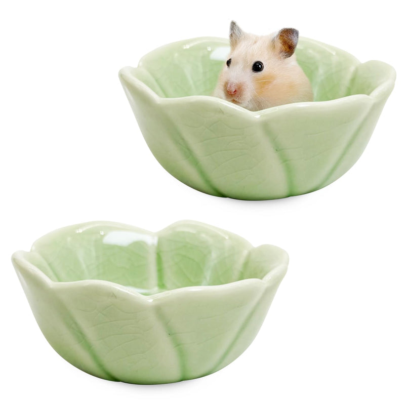 BNOSDM 2 Pcs Hamster Ceramic Food Bowl Flower Series Gerbil Drinking Bowls Anti-Turning Food & Water Dish for Dwarf Syrian Hamsters Gerbil Chinchilla（Green, Rose Pattern） 2.Green - PawsPlanet Australia