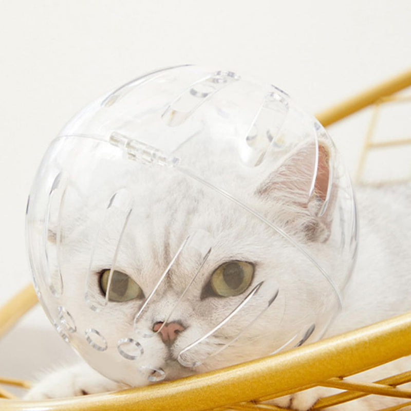 GLEAVI Breathable ABS Cat Helmet for Cats with a Neck Circumference of 27-31cm. Post-operative protective helmet against scratching and biting. Safe and comfortable for pets outdoors.