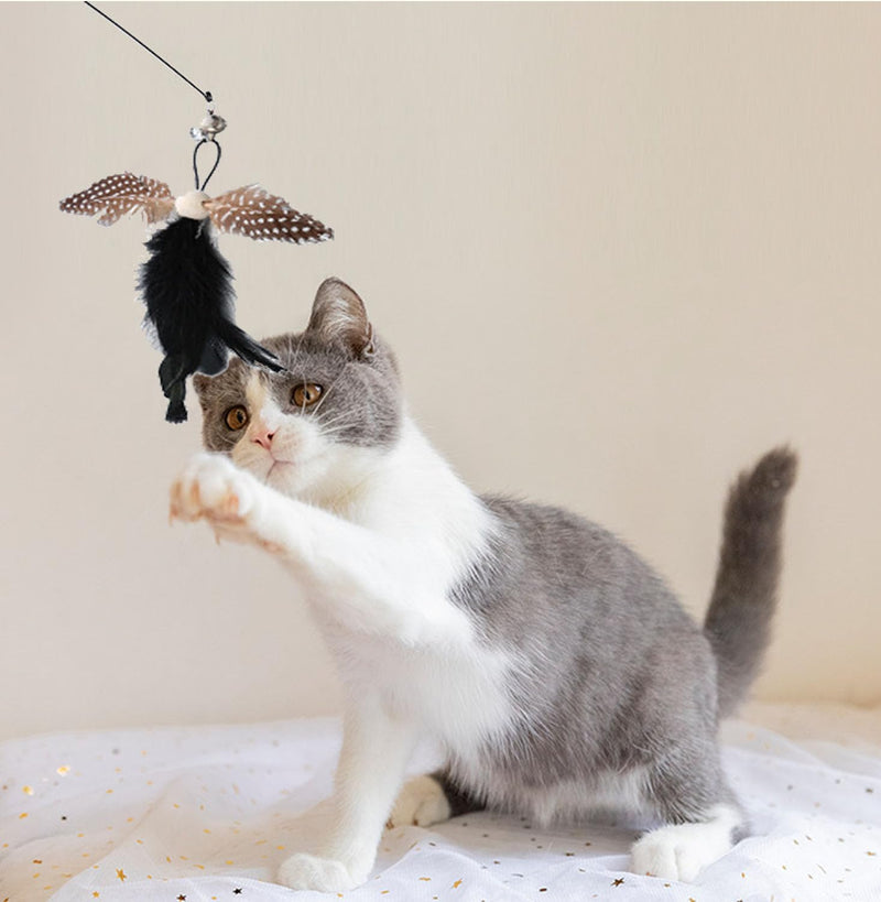 Cat Feather Toys, Indoor Cat Interactive Toys, 2 PCS Flexible Wire and 5 PCS Cat Feather Toys, for Bored Indoor Cats, Indoor Cat Chase Toys - PawsPlanet Australia