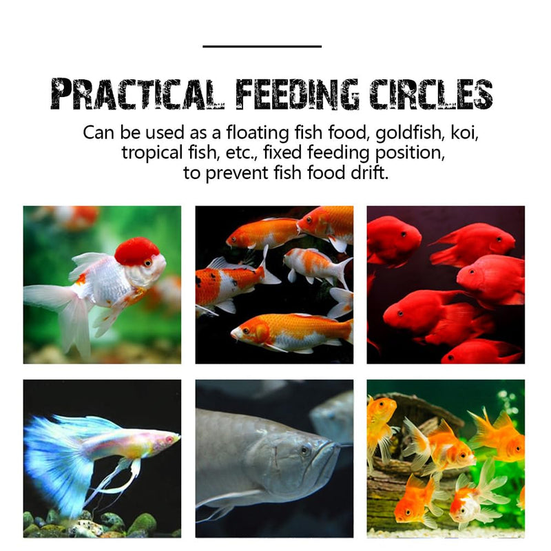 Fish Feeding Ring, Fish Safe Floating Food Feeder Circle Blue, with Suction Cup Easy to Install Aquarium, Square and Round Shape Fish Tank Towels - for Guppy, Betta, Goldfish, Etc (1 circle) 1 circle - PawsPlanet Australia
