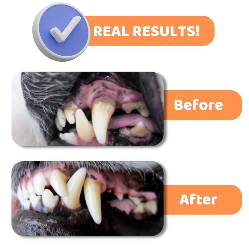 Dog Toothbrush with Toothpaste | Approved Dog Dental Kit | Triple Headed Deep Cleaning Toothbrush for Dogs + 100% Natural Tooth-Paste | Freshen Breathe & Remove Plaque (Dental Kit)