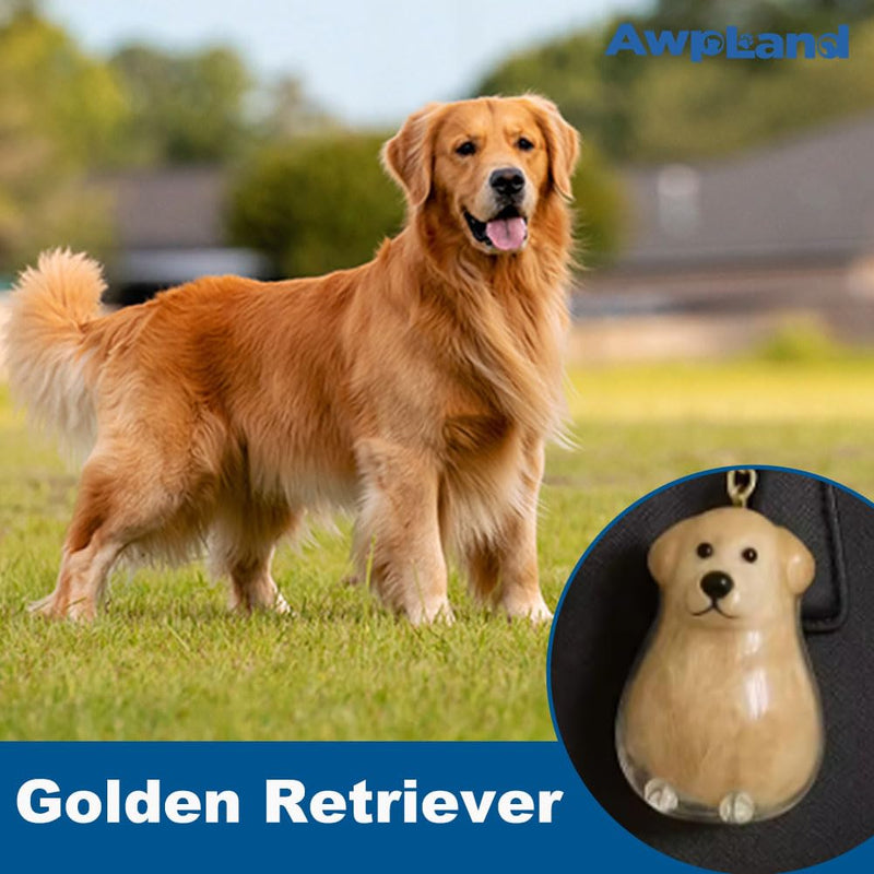 Memorial Bottle Keychain for Dog Hair, Transparent Pet Hair Keepsake Storage Bottle with Chain and Hair Pickup, Dog Memorial Urn for Owner (Golden Retriever) - PawsPlanet Australia