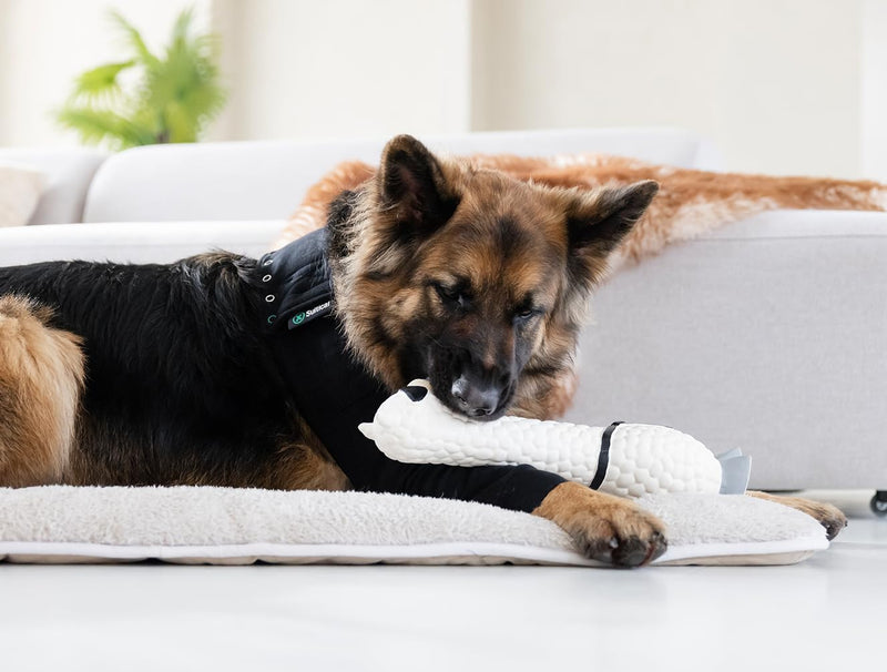 Suitical Recovery Sleeve for Dogs | Front Leg Protection After Surgery | Dog Leg Sleeve to Stop Licking | Machine Washable | Chest Circumference 11.8”- 16.9” | Sleeve Length 4.7” | 2XS | Single Sleeve Black-Single Sleeve