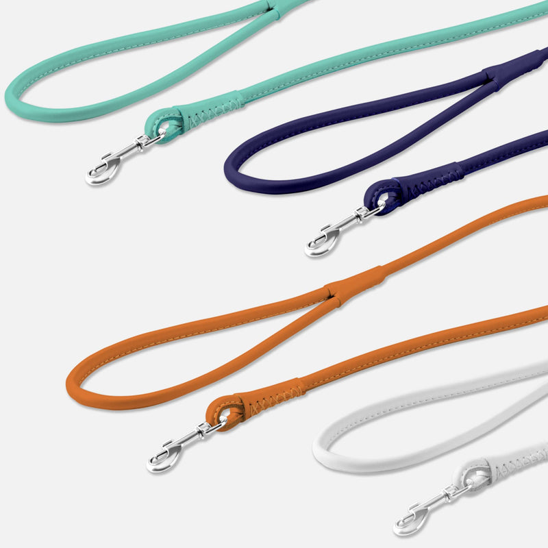 CollarDirect Rolled Leather Dog Leash 4ft, Soft Padded Training Leather Dog Lead 6ft, Puppy Leash Rolled Leather Small Medium Large Black Blue Red Orange Green Pink White (Mint Green, Size XL 6ft) - PawsPlanet Australia