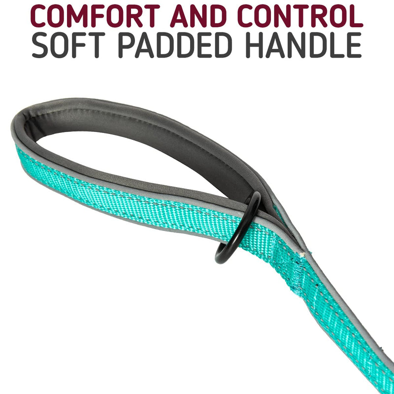 Leash Boss 6ft Ultra Comfort Double-Thick Soft Padded Handle Reflective Leash for Large and Medium Dogs, Heavy Duty for Large Breeds, Nylon for Small Dogs/Puppies 6 Ft x 1" Wide Aqua