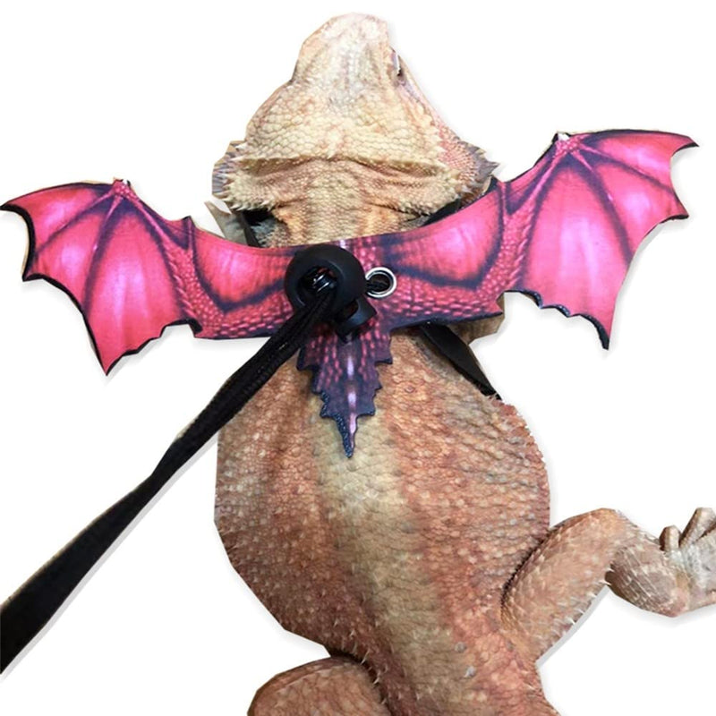 DONGKER Bearded Dragon Lizard Leash Harness, Adjustable Leather Removable Lizard Harness Leash w/3 Size Lizard Wing for Bearded Dragon Lizard Reptiles red - PawsPlanet Australia