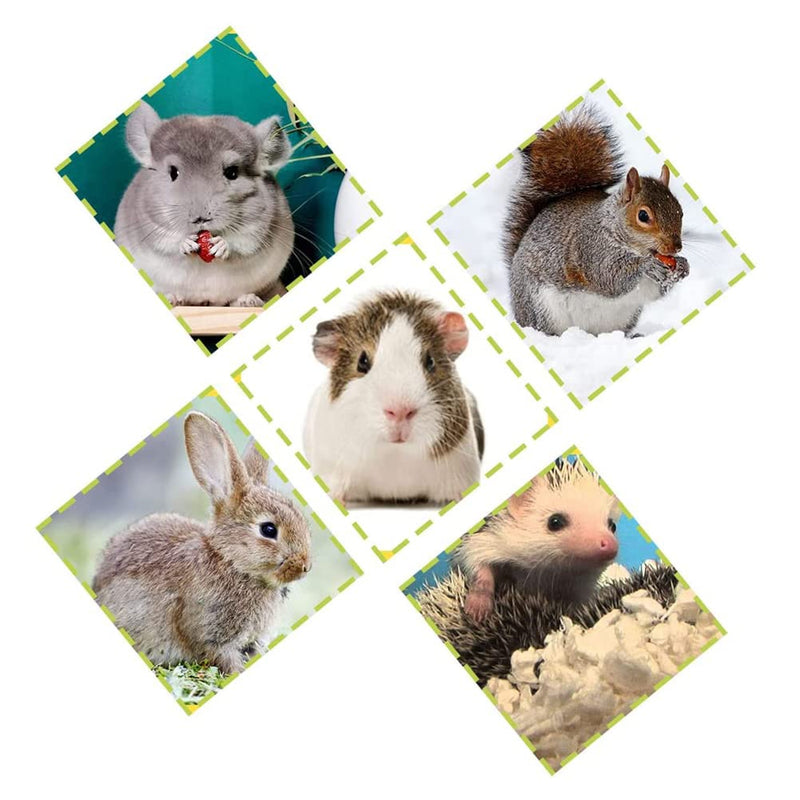 Hamster Small Animal Sand Bath Box Bathtub Critter's Bathroom with Bath Sand and Scoop Accessories for Mice Hedgehog Lemming Gerbils or Other Small Pets (Medium) +200g Sand+1 Spoon Medium - PawsPlanet Australia