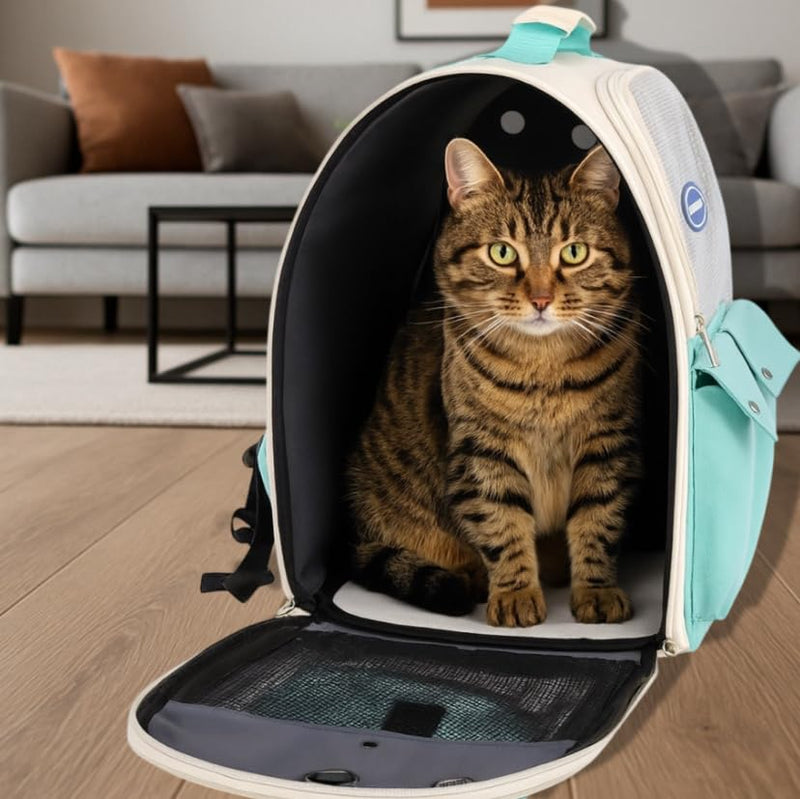 Cat Backpack - Cat Carrier Backpack Pet Carrier Bag Rucksack Back Travel Small Dog Puppy Carriers Collapsible Box Carry Cage Bags For Travel Kitten Cute Walking Bags For Travelling Pet Bag Soft - PawsPlanet Australia