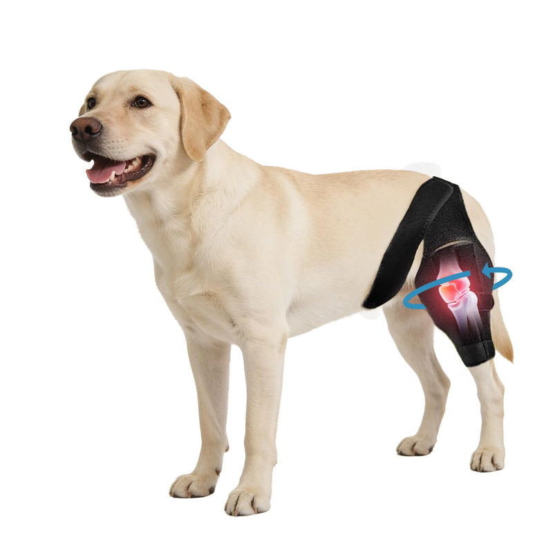 Dog Knee Brace for Torn ACL/CCL & Hind Leg Support - 13 -XXL
