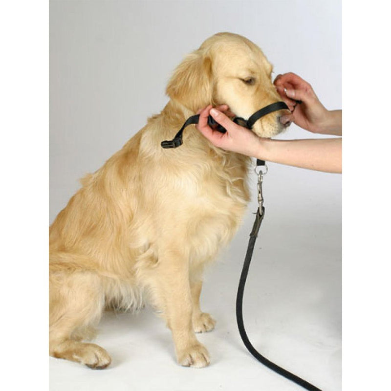 BARKELSS Dog Head Collar, Adjustable Padded Dog Halter to Stop Pulling, Gentle Control on Walks, Includes 1 Leash & Training Guide L Black - PawsPlanet Australia