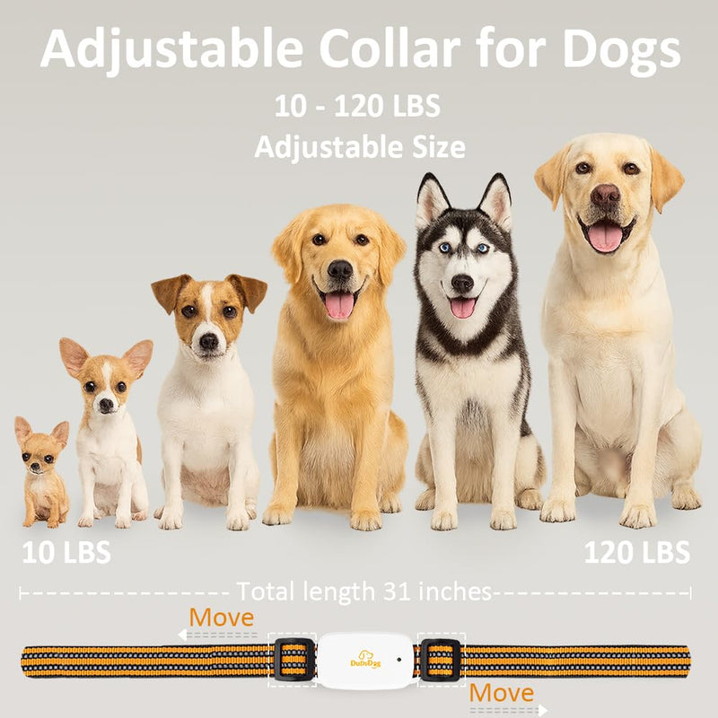Dog Training Shock Collar for 2 Dogs with 9.8FT Retractable Leash – 3200FT Remote E-Collar for Dogs, Color Screen Display, Beep Vibration Static, IP67 Waterproof, USB-C Rechargeable (White, 2 Collars) White - PawsPlanet Australia