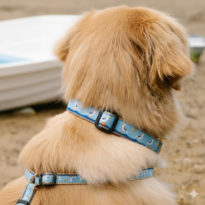 Up Country Gull Watch Dog Collar, Small (9 to 15 inches) 1 inch Wide Width - PawsPlanet Australia