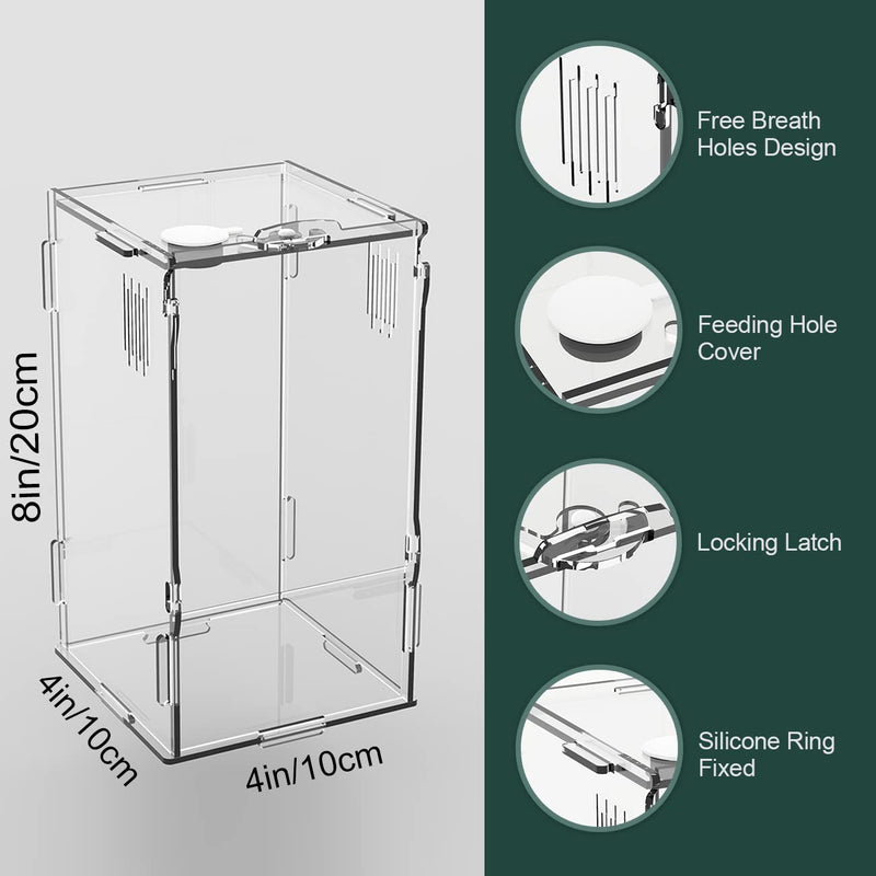 BETAZOOER Acrylic Mini Reptile Tank Habitat Transparent Terrariums with Locking Latch Suitable for Tarantula Isopod Roach Invertebrates (4''x4''x8'') Small