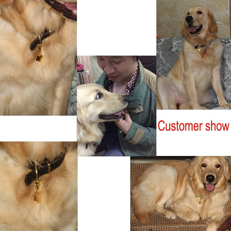 Personalized Custom Pet ID Tag Best Friend Bone Necklace Keychain Matching Bone BFF Engraved Collar Dog Cat Human Jewelry Set Pet Lover Gift Rose Gold Plated Stainless Steel Necklace&Keychain-No custom - PawsPlanet Australia