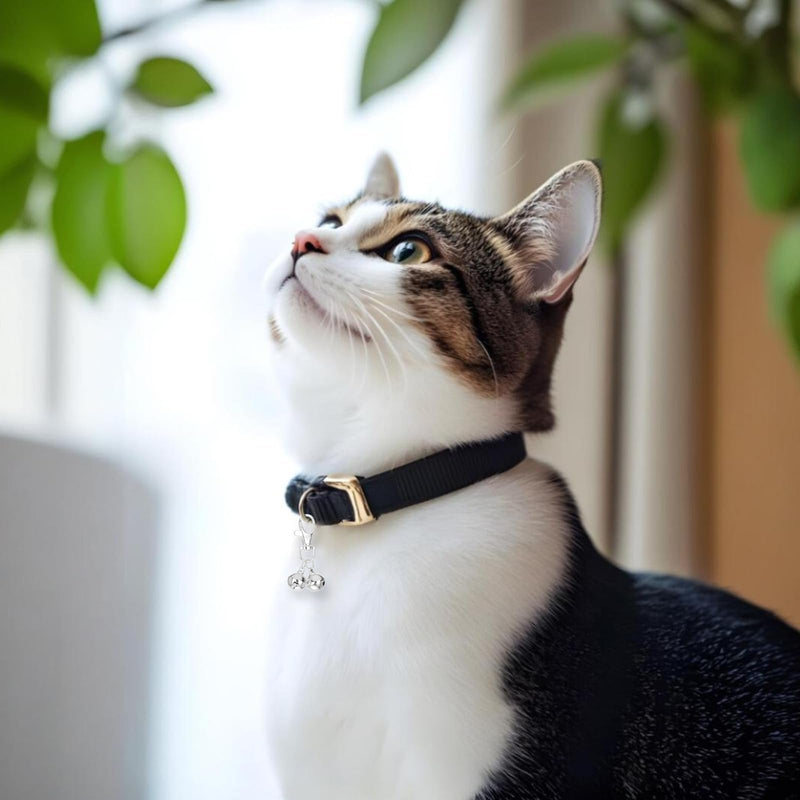 4 Pcs Mini Dog Collar Bells, Cat Bell, Silver Pet Pendant Accessories for Training, Loud Charms for Dogs and Cats - PawsPlanet Australia
