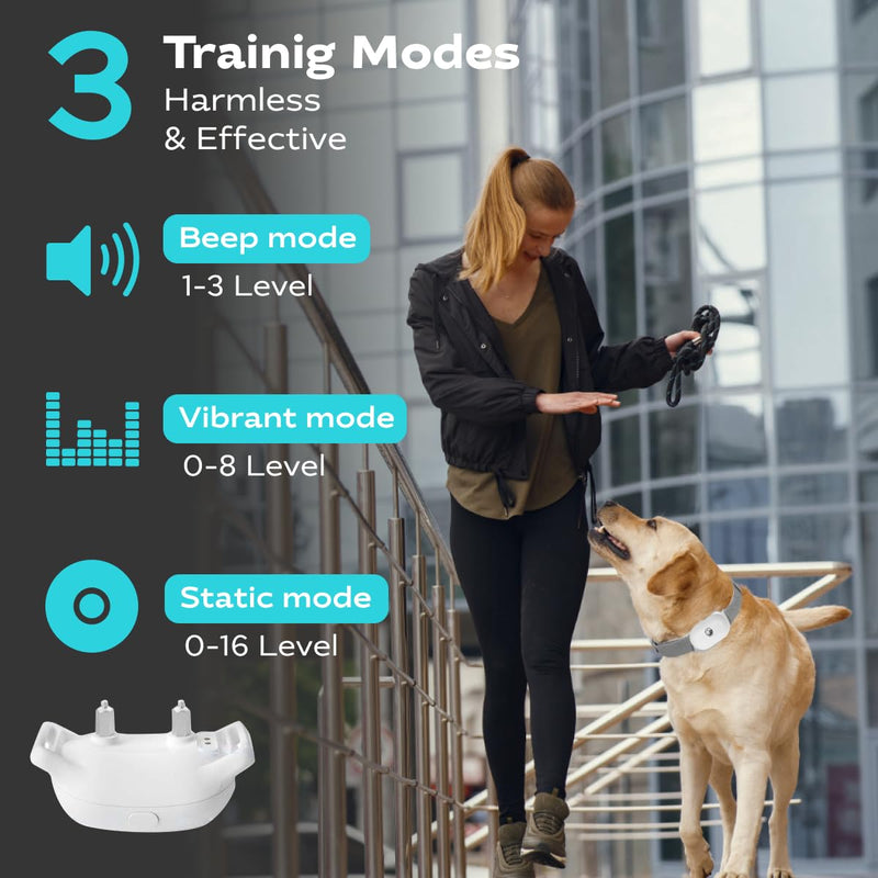 Dog Shock Collar with Remote, Rechargeable Training Shock Collar for Small Medium Large Dogs 1000Ft Control Range, Waterproof Electric Bark Collar with Beep, Vibration, Safe Shock White - PawsPlanet Australia