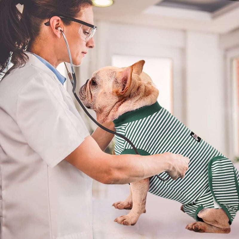 EMUST Dog Recovery Suit, After Surgery Wear for Dogs Male Female, Pet E-Collars Alternative Bandages, Professional Dog Onesie for Surgery for Abdominal Wounds, Weaning&Skin Diseases,Green Strip/XXL XXL Green Strip - PawsPlanet Australia