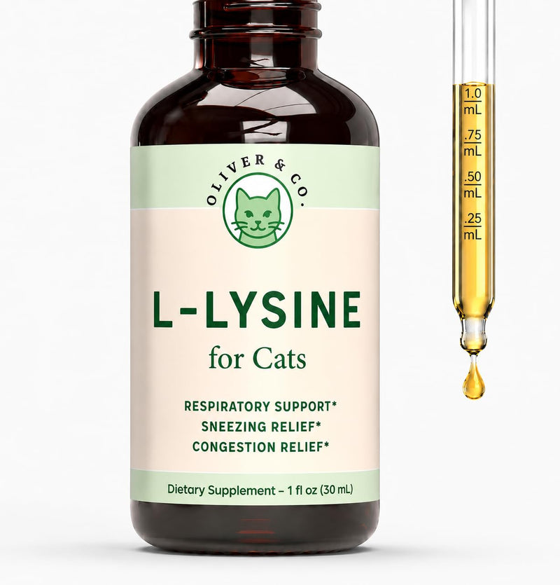 Lysine for Cats - L-Lysine for Cats - May Help with Respiratory Health, Sneezing, Runny Nose & More - Cat Cold Relief - Cat Sneezing Treatment - 1 fl oz