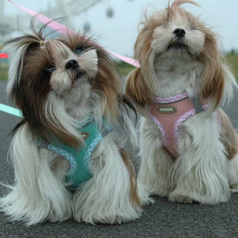 Dog Harness and Long Leash Set for Small Dogs, Boy and Girl Medium Cat No-Pull Vest with Reflective Strips, Breathable Large Puppy Collar Pet When Training, Walking, Running, M PINK - PawsPlanet Australia