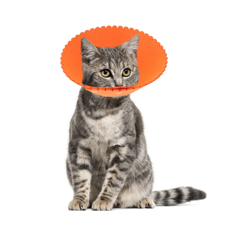 Toyvian 7-Pack Lightweight Adjustable Rehabilitation Collar made of PP for Cats and Dogs 4.5-7kg with Conical Shape for Postoperative Use and Daily Protection
