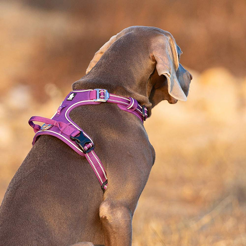 Dog Harness No Pull Adjustable Reflective Step-in Soft Nylon For Small Large Pet TLH56512(M, Purple) M