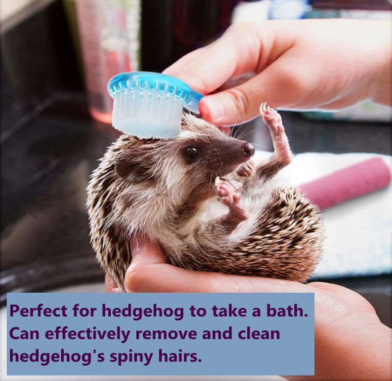 3PC Small Animal Bath Brush with Lid Soft Cleansing Brush Massage Combs for Hedgehog Guinea Pig Rabbit Chinchilla Ferret Small Animal Grooming Tool Cleaning Supplies - PawsPlanet Australia