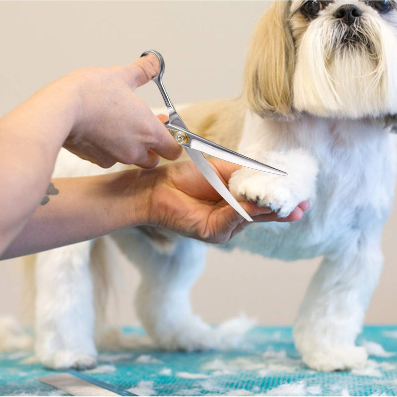 Dream Reach Professional Dog Grooming Straight, Curved, Thinning/Blending/Chunking Scissors Kit, JP-440C Stainless Steel Pet Cat Hair Cutting/Trimming Shears (7 inch-Curved Scissors) A-Curved Scissor - PawsPlanet Australia