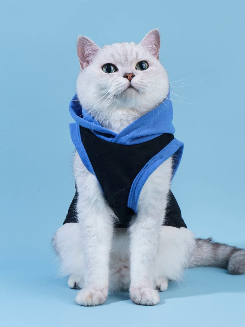 QWINEE Mom Boy Dog Hooded Tank Tops Letter Print Cat Puppy Hoodie Vest Sleeveless Pullover Dog Shirt Stretchy Pet Clothes for Small Medium Large Cats Dogs Kitten Blue S - PawsPlanet Australia