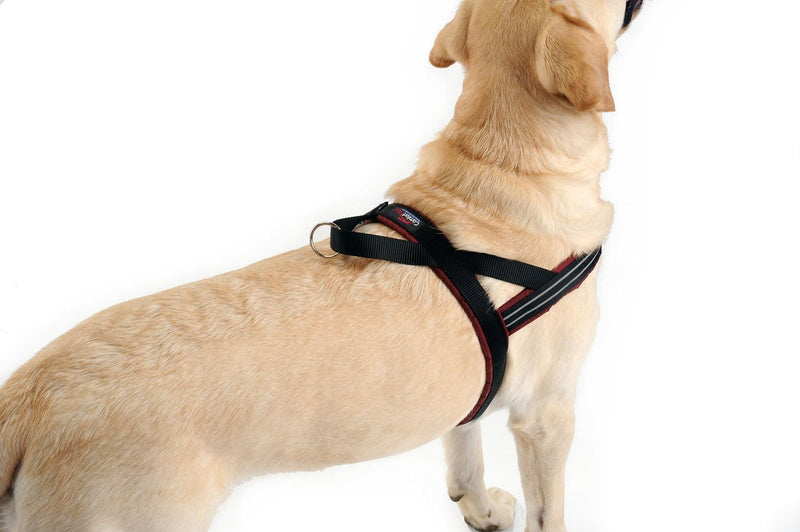 ComfortFlex Sport Harness - American Made No Pull Dog Harness for Small, Medium, Large Dogs - Padded, Reflective No Rub Harness for Walking & Running - Medium/Large, The Patriot