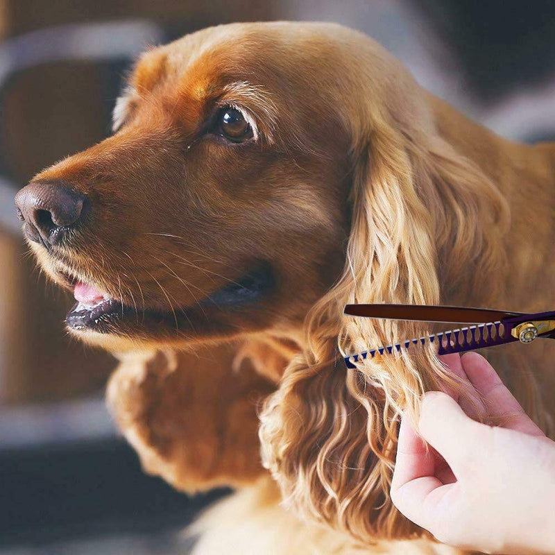 Purple Dragon Professional 7.0/8.0 inch Pet Grooming Hair Cutting Scissor and 6.75/8.0 inch Dog Chunker Shear - Japan 440C Stainless Steel for Pet Groomer or Family DIY Use (Chunker Scissor) Chunker scissor - PawsPlanet Australia