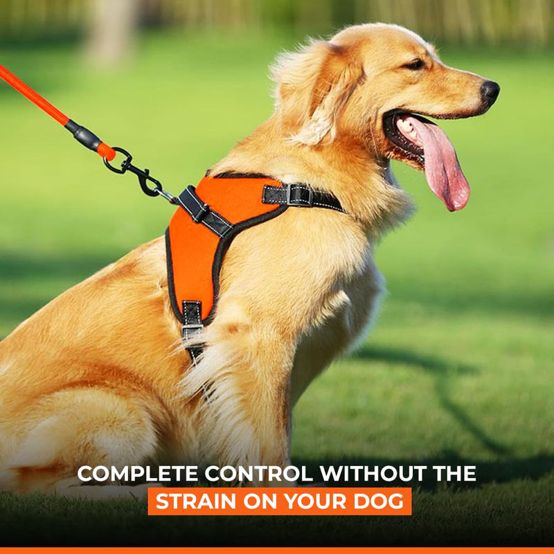 MobDog Dog Harness and Lead Set – No Pull Harness for Puppy with 5 Feet Leash – Reflective Vest with Comfortable Padding for Medium, Small, Large Dogs X-Large Orange - PawsPlanet Australia