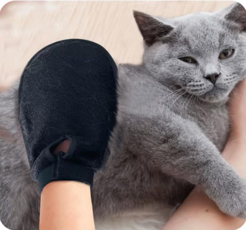 Paw-Naticks 2-in-1 Pet Grooming Mitt, Double-Sided Silicone Bath Brush, Dog & Cat Hair Remover, Massage Glove, Shredding Massage, Five-Finger Design, 25.5x16x3 cm (BLUE) BLUE - PawsPlanet Australia