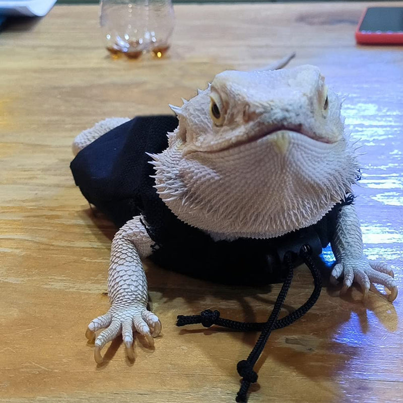 4 Pack Lizard Clothes for Bearded Dragons Straw Hat Set Reptile Apparel Handmade Sleeveless T-Shirt Vest Skin Protection Photo Party for Lizard Bearded Dragon Crested Gecko Chameleon (L, 4 Pack Set) L - PawsPlanet Australia
