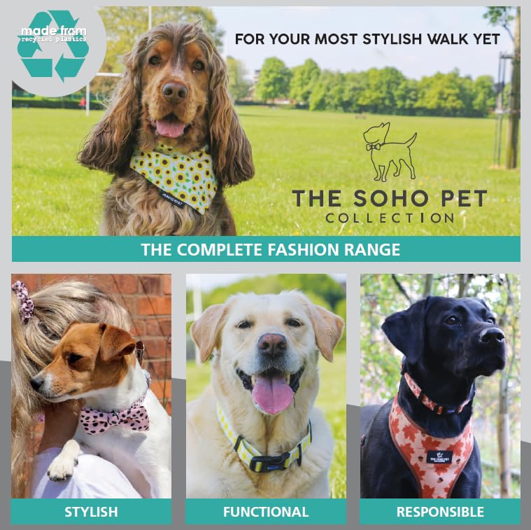 Ancol The Soho Pet Collection Nautical & Coral Reversible Harness Medium To Fit 35cm - 60cm White M