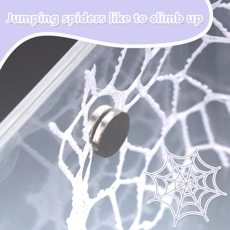 1 Pcs Jumping Spider Climbing Net Enclosure Accessories with Magnet for Insect Praying Mantis Jumping Spider Stick Insect (13.7" L, 9.8" W)