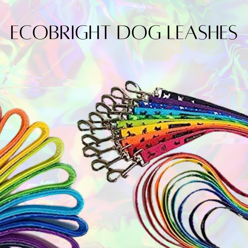 EcoBark Dog Leash - 4 FT / 5 FT / 6 FT Reflective Dog Leash- Eco-Bright Dog Leashes with Padded Handle - Strong Heavy Duty Dog Leash - Nylon Dog Leash for Small and Medium Dogs (Tie Dye Dog Leash) 5ft x 3/4 inch Tie Dye