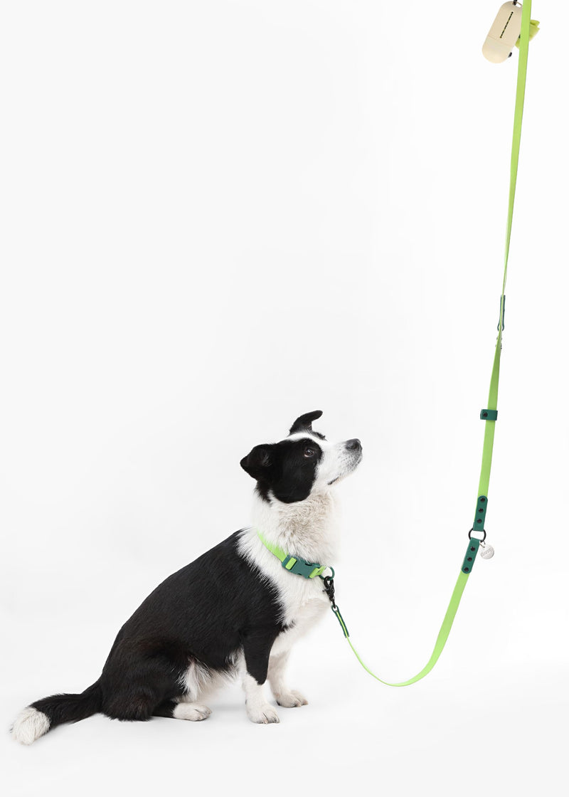 WLK1006B-5SET Luna Large 8FT Adjustable 6-in-1 Waterproof Hands-Free Leash and Collar with LED Flashlight, Bag Dispenser, and Poop Bag Holder, Mojito Light Green/Dark Green Large (Up to 80 lbs) - PawsPlanet Australia
