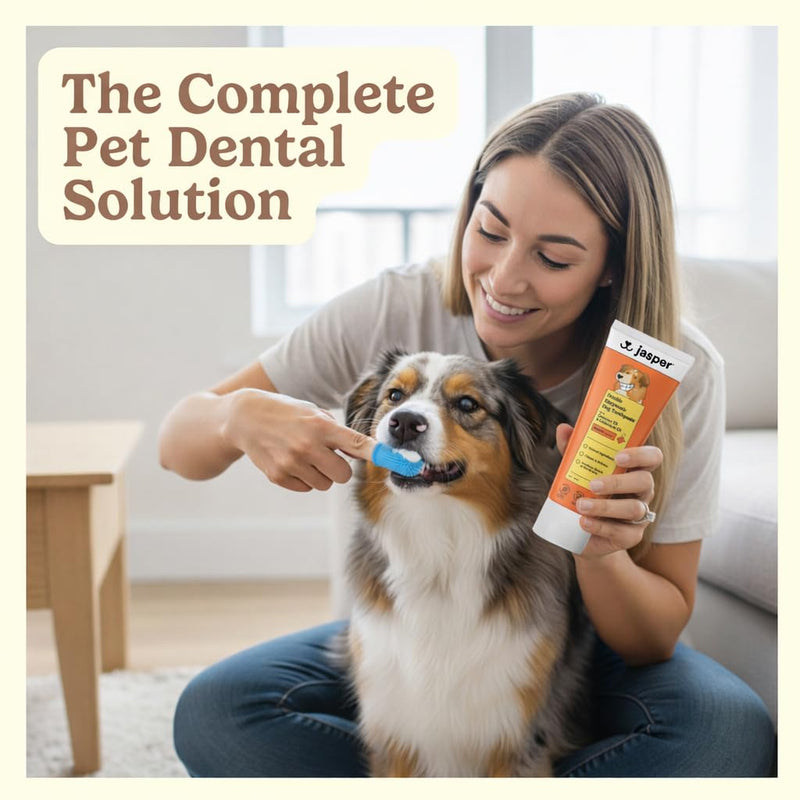 Jasper Dog Tooth Brushing Kit and Dog Toothpaste Kit 360 Dog Toothbrush Enzymatic Plaque Remover Imporves Bad Breath Natural Pet Toothpaste Dog Toothbrush and Toothpaste 2 oz Chicken Flavor Chicken Kit