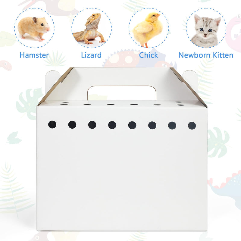 Disposable Cardboard Pet Carrier for Small Animals-12 Pack - PawsPlanet Australia