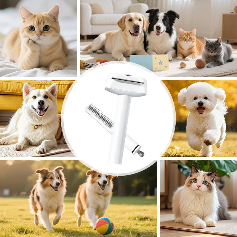 3 in 1 Cat Brush Dog Brush, Multifunctional Cat Comb Removes Loose Hair/Undercoat/Mats, for Long Hair, Short Hair, Density, Curly, Fine Pet Fur - PawsPlanet Australia