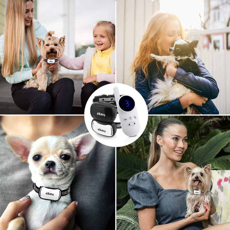 eXuby Tiny Dual Shock Collar - Smallest Collar on The Market - Sound, Vibration, Shock - 9 Intensity Levels - Pocket-Size Remote - Long Battery Life - Water-Resistant - White Remote - PawsPlanet Australia