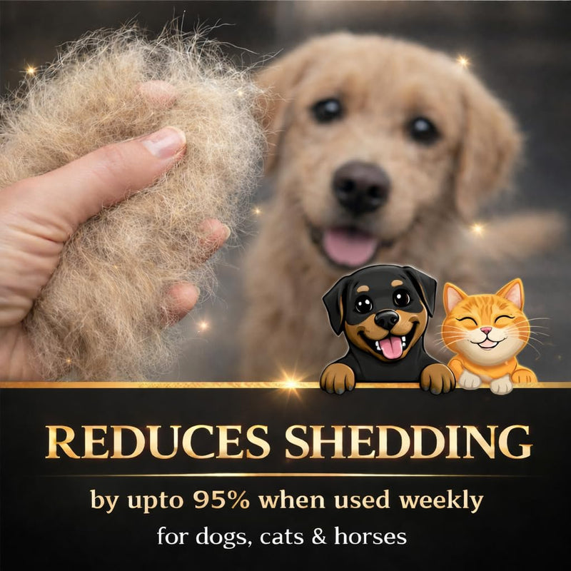BullyBillows Deshedding Brush for Dogs, Cats & Horses – Slicker Dog Brush for Shedding & Grooming – Gentle Pet Grooming Tool with Wide Shallow Comb – Black Black - Comb set - PawsPlanet Australia