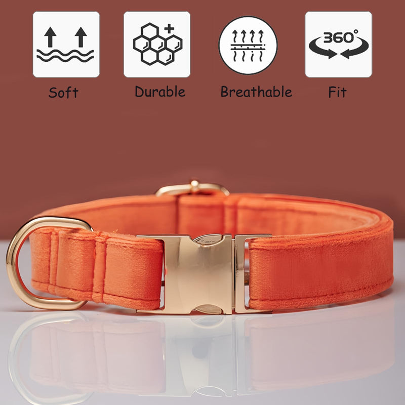 Velvet Dog Collar for Small Medium Dog, Durable Soft Velvet, White Green Orange Brown for Girl Boy, Adjustable Metal Buckle Puppy Collar Suitable for Running, Playing and Weddings. (Orange, XS) - PawsPlanet Australia