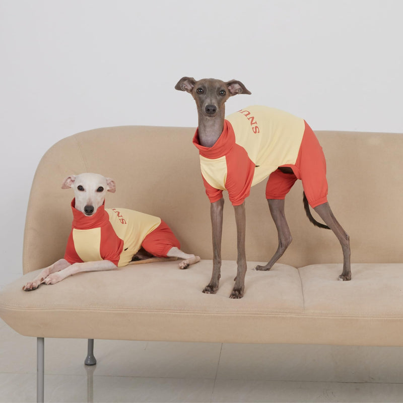 Dachshund Dog Cooling Summer Outfits, Four-Legged Sun Protection Clothes UPF50+, Quick-Dry Summer Shirt for Dachshund and mini Dachshund (X-Large) XL(22lbs)