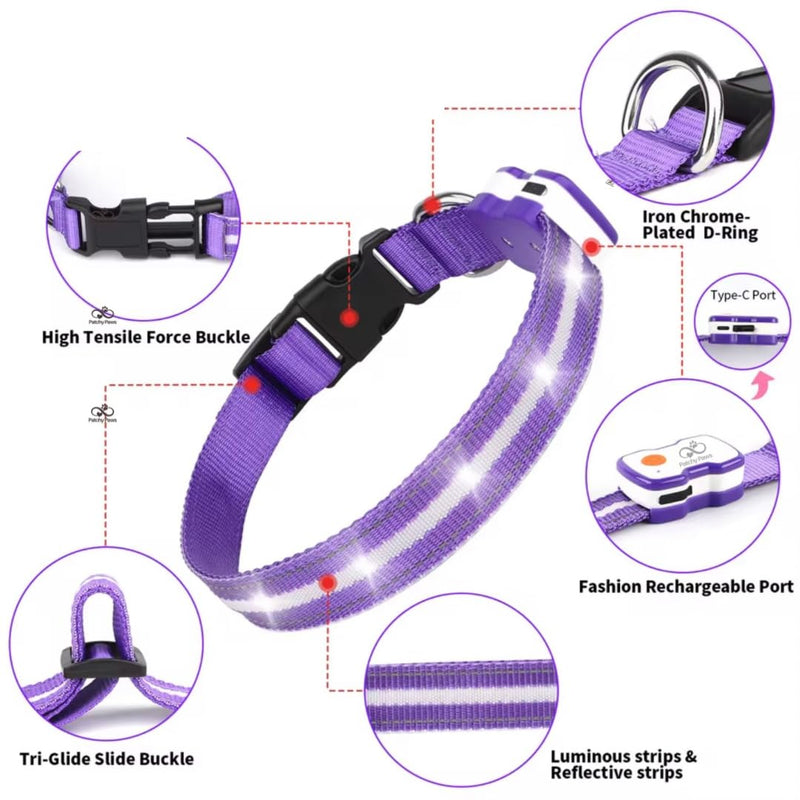 Matching LED Dog Collar & Lead Set – Rechargeable USB-C Light-Up Leash & Glow-in-the-Dark Collar for Night Walks – Durable, Waterproof, Adjustable, Stylish (Purple)